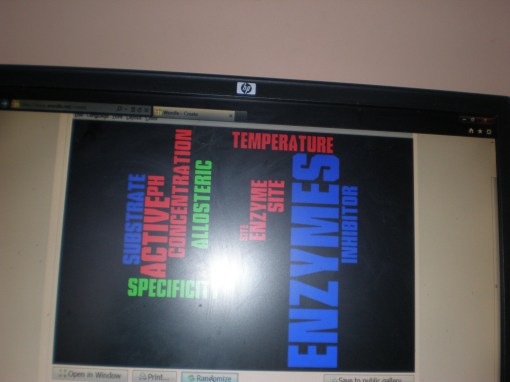 My Enzyme Wordle